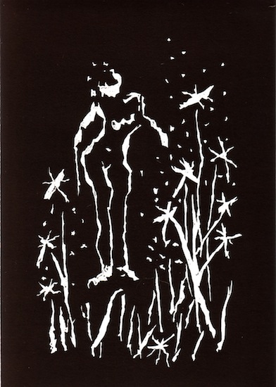 Linogravures - Lucioles - Animal - Animaux - Femmes - Nues - Nus